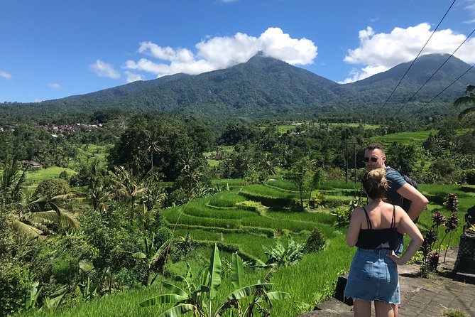 Private Tour: Bali Temple and Countryside Tour - Luhur Batukaru Temple: cool forest air and a 7-tiered tower