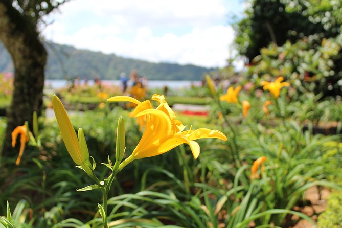 Private Tour: Bali Temples, Hidden Waterfall and Handara Gate - Ulun Danu Beratan: Why the Lake Temple Looks Like a Postcard