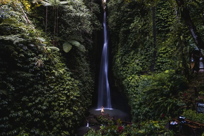 Private Tour: Bali Temples, Hidden Waterfall and Handara Gate - What $64.70 Buys: Value Without Overpaying for Extras