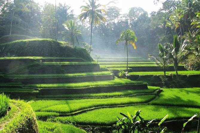 Private Tour: Batuan Temple, Tegenungan Waterfall, Elepahant Cave Free transport - Goa Gajah (Elephant Cave): Don’t Trust the Name—Trust the Site