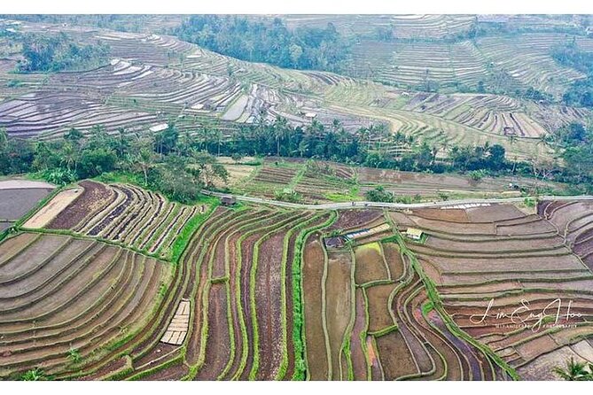Private Tour Bedugul Temple-Jatiluwih-Taman Ayun&Tanah Lot Sunset - Who this tour suits best (and who should think twice)