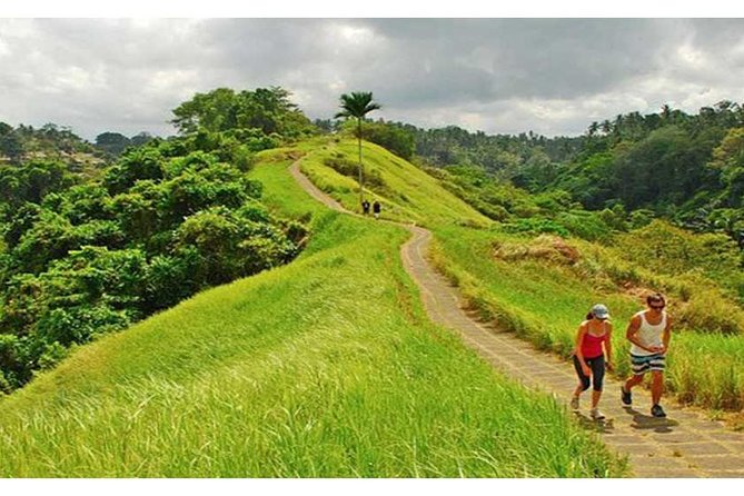 Private Tour: Campuhan Ridge Walk, Ubud Rice Terrace & Ubud Palace - Key highlights you’ll feel on this Ubud route