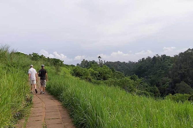 Private Tour: Campuhan Ridge Walk, Ubud Rice Terrace & Ubud Palace - Entering Campuhan Ridge Walk the right way
