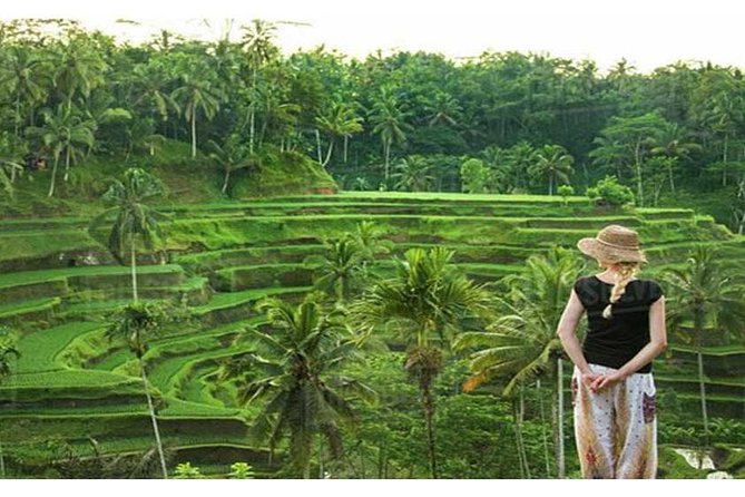 Private Tour: Campuhan Ridge Walk, Ubud Rice Terrace & Ubud Palace - Ubud Palace: arts, gates, and the feeling of a real performance space