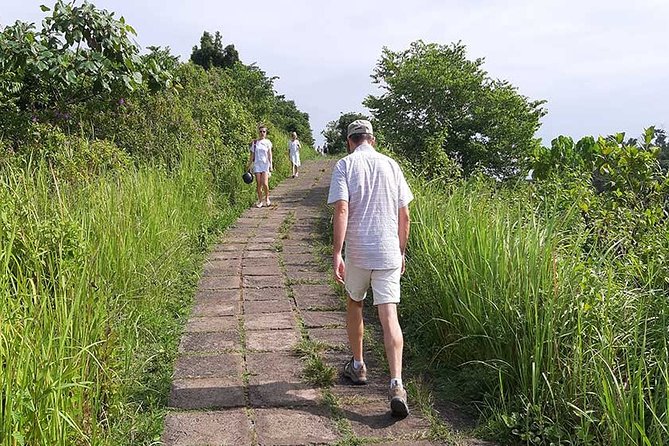 Private Tour: Campuhan Ridge Walk, Ubud Rice Terrace & Ubud Palace - Price and logistics: what $25 buys you in real terms