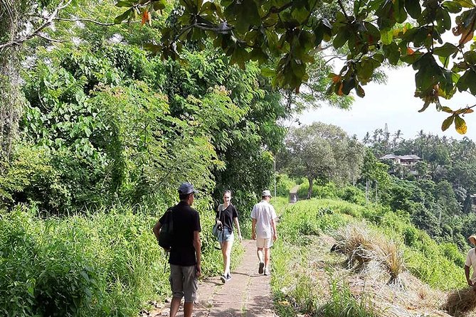 Private Tour: Campuhan Ridge Walk, Ubud Rice Terrace & Ubud Palace - Who should book this Ubud private tour