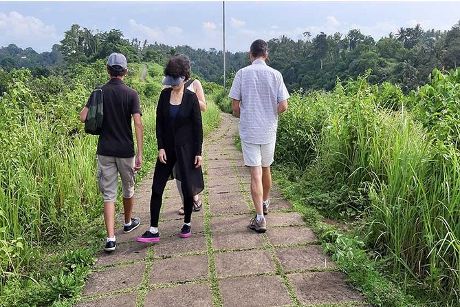 Private Tour: Campuhan Ridge Walk, Ubud Rice Terrace & Ubud Palace - Ceking Rice Terrace: the famous terraced view you’ll actually remember