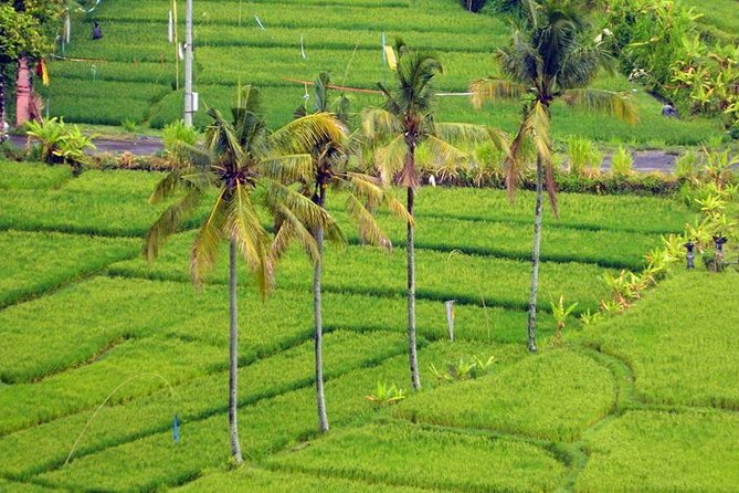 Private Tour: Jatiluwih Rice Terrace,Ulun danu and Banyu Mala Waterfall Tour - Lake Beratan and Ulun Danu Bratan: the temple-on-the-water icon
