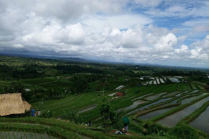 Private Tour: Jatiluwih Rice Terrace,Ulun danu and Banyu Mala Waterfall Tour - Jatiluwih Rice Terraces UNESCO: Subak life and cool-air walking