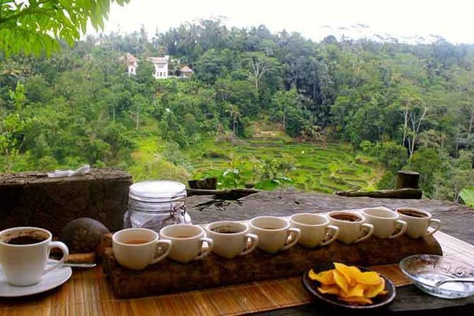 Private Tour: Jatiluwih Rice Terrace,Ulun danu and Banyu Mala Waterfall Tour - Handara Iconic Gate: a short photo stop with a real location