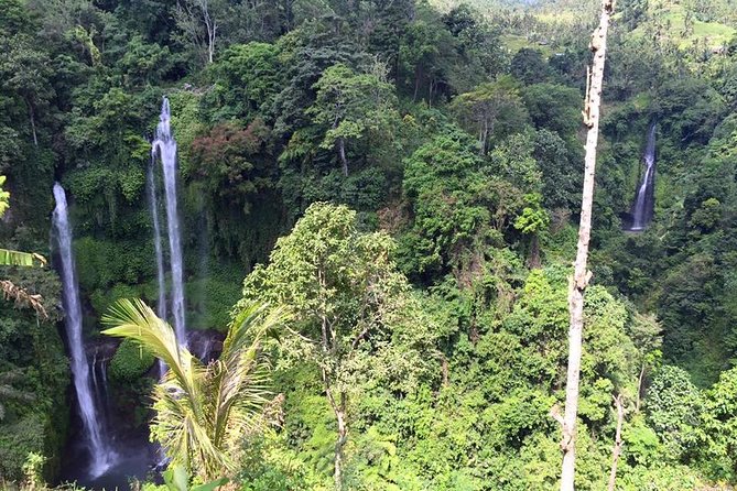 Private Tour: Jatiluwih Rice Terrace,Ulun danu and Banyu Mala Waterfall Tour - Price and logistics: where the $82.29 really goes