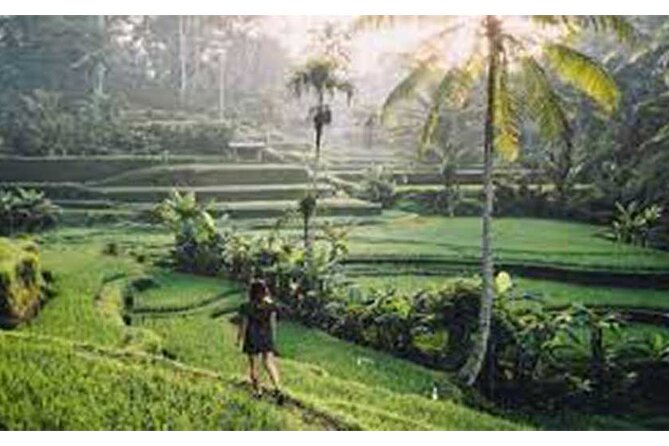 Private Tour:Kintamani Volcano Tour With Entrance Ticket & Hotel Transfer - Private transfer from Kuta: how the logistics actually help