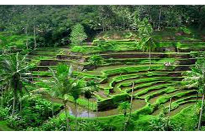 Private Tour:Kintamani Volcano Tour With Entrance Ticket & Hotel Transfer - Stop 2: Mas Carving Center and the Balinese wood-souvenir machine