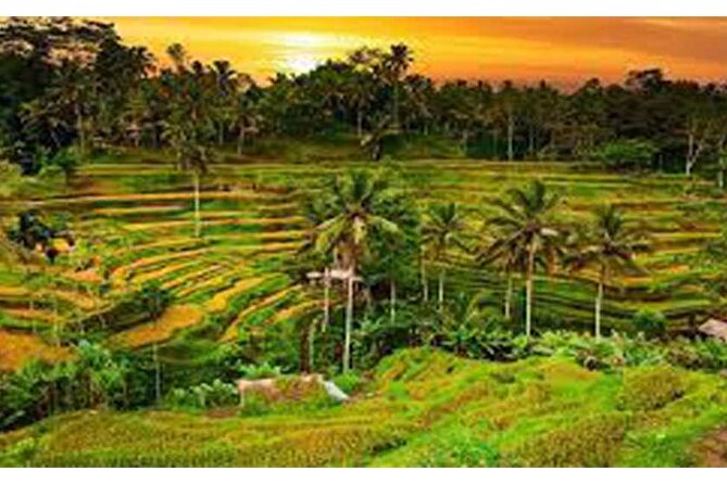 Private Tour:Kintamani Volcano Tour With Entrance Ticket & Hotel Transfer - Stop 3: Lookout Resto & Bar for Penelokan-style Batur panorama