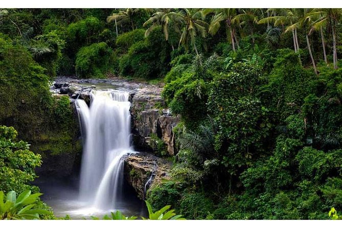 Private Tour:Kintamani Volcano Tour With Entrance Ticket & Hotel Transfer - Stop 4: Tegalalang Rice Terrace for a short walk and big photo angles