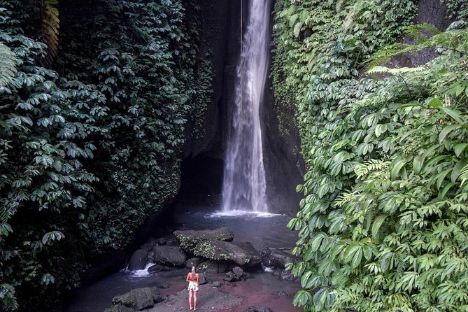 Private Tour: Leke-Leke Waterfall, Handara gate & Iconic Temples - Price and value: $58 per person for a whole-day, ticketed plan