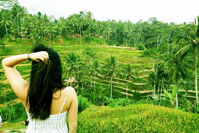 Private Tour : Mt. Batur View, Rice Terrace, Waterfall & More. - Tegalalang Rice Terrace walk: farmer encounters and photo angles