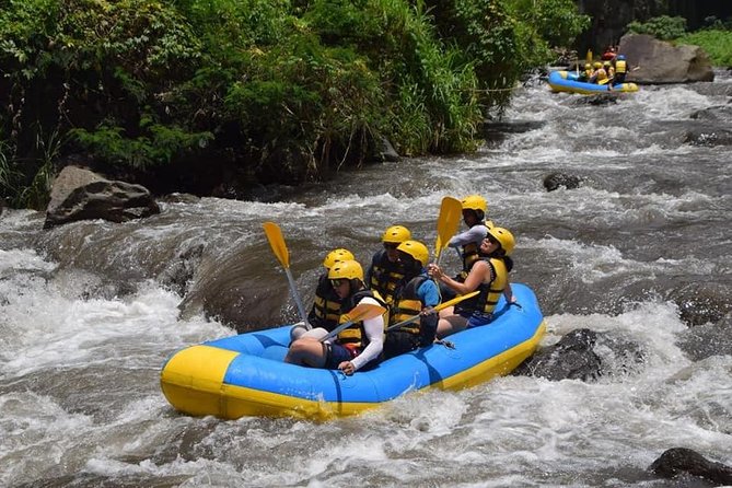 Private Tour Rafting Uluwatu Kecak Dance Sunset and Dinner in Jimbaran Bay - Who should book this private rafting and Uluwatu sunset tour?