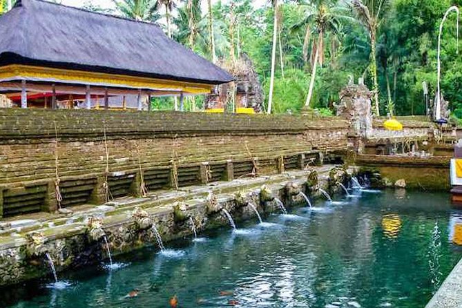 Private Tour Top Sights of Bali in One Day - Tegalalang rice terraces: walking Bali’s farming design