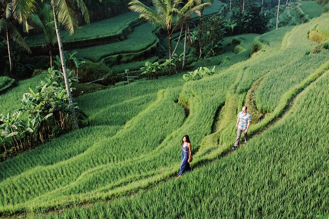 Private Tour Top Sights of Bali in One Day - Uma Pakel jungle swing: adrenaline with big views