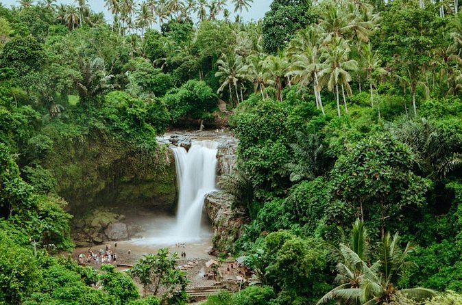 Private Ubud Day Tour Waterfalls Sacred Monkeys and Rice Fields - Tegenungan Waterfall: viewpoints, stairs, and a possible swim