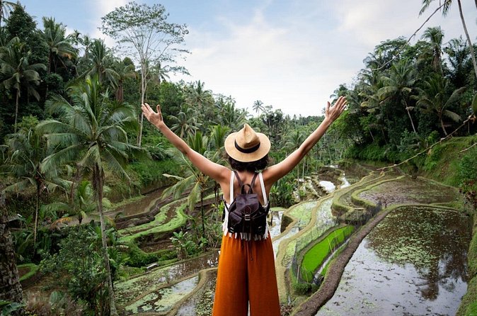 Private Ubud Day Tour Waterfalls Sacred Monkeys and Rice Fields - Tegalalang Rice Terrace: terraced views and how farming works