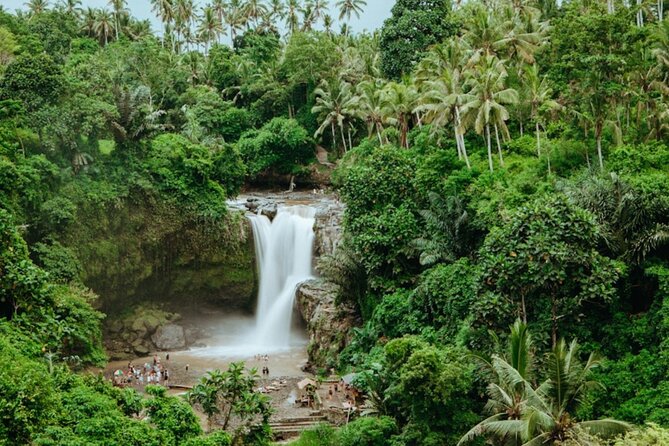 Private Ubud Day Tour Waterfalls Sacred Monkeys and Rice Fields - The human touch: why Wayan and Elvina Bali Tour stand out