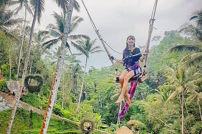 Private Ubud Tour with Hidden Waterfalls - Why this Ubud tour works when you have limited time