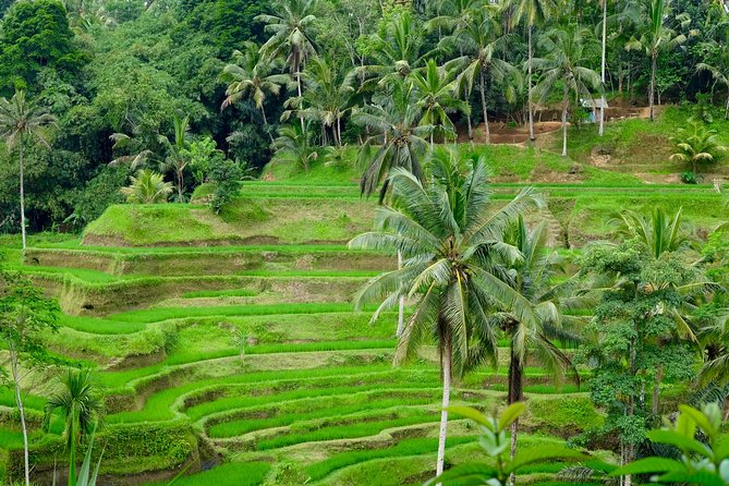 Private Ubud Tour with Hidden Waterfalls - Batuan Temple: ornament work you’ll actually notice