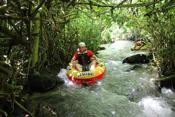Quad or Buggy Tour with Canyon Tubing Adventure in Bali - Price And Value: Is $137.83 Worth One Long Adventure Day?