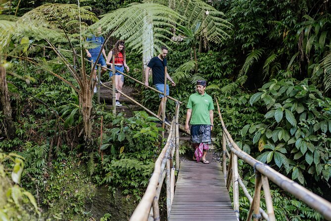Quick Access: The Bali Instagram Small Group Tour - Tegalalang Rice Terraces: UNESCO views that take patience (and timing)