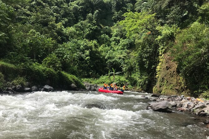 Rafting Adventure 18 km and Balinese Village Life Tour with Lunch - Klungkung village walk: rice fields, family compounds, and daily life