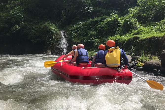 Rafting Adventure 18 km and Balinese Village Life Tour with Lunch - Price and value: what you’re really paying for at about $73