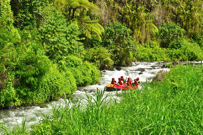Rafting Adventure 18 km and Balinese Village Life Tour with Lunch - Who should book this rafting + village combo