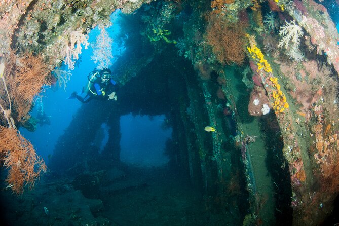 Sanur Open Water Course learn diving in 3 Days - Get certified & Dive everywhere - Padang Bai vs Tulamben on Day 3: Let the Conditions Pick the Route