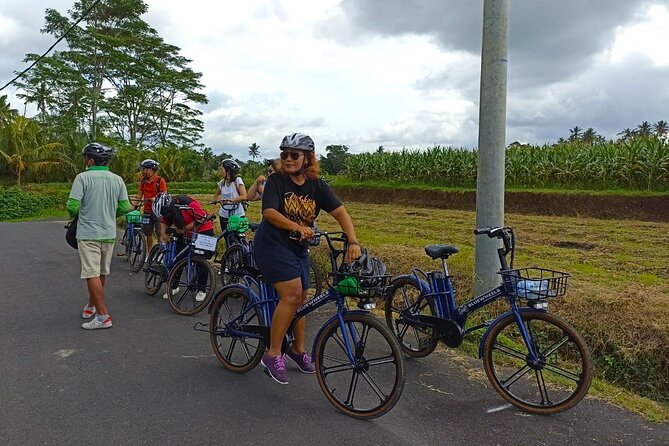Sanur Village E-bike Tour: Family-Friendly Adventure - Why This Sanur E-Bike Tour Feels More Like Bali (Less Like a Route)