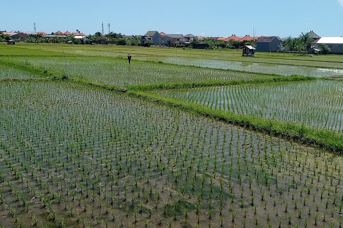 Sanur Village E-bike Tour: Family-Friendly Adventure - Lunch on the Beach: The Part You’ll Appreciate Most
