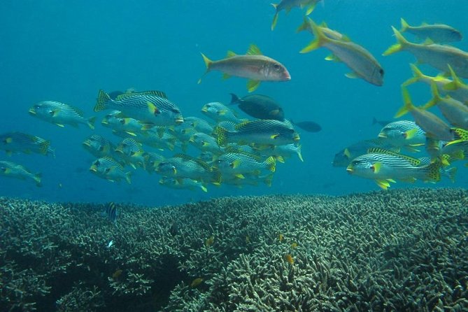 Scuba diving in PADANG BAY BALI - Small groups and real guidance: what the 5-diver limit changes