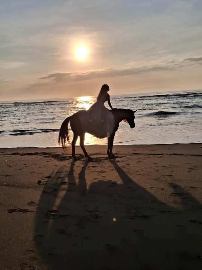 Seminyak: Bali Horse riding Adventure Seminyak Beach - The 30–60 Minute Ride: What You’ll Actually Do