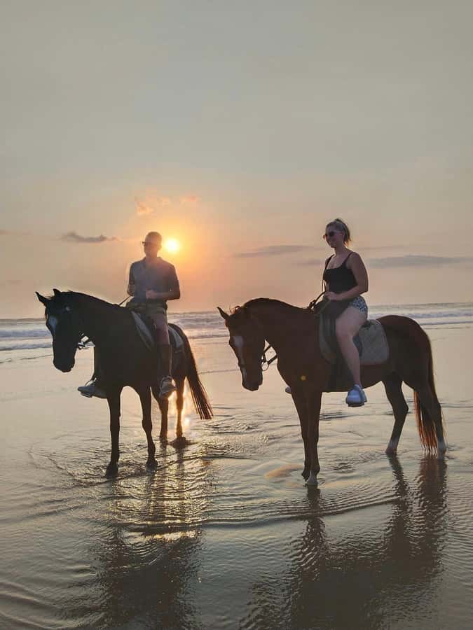 Seminyak Beach Horse Riding Experience - Pacing, riding levels, and the small-group setup