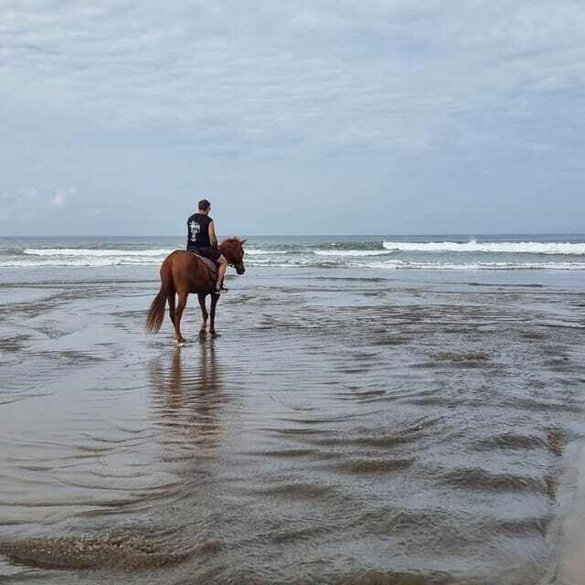 Seminyak Beach Horse Riding Experience - Cost and value: is $52 a good deal?