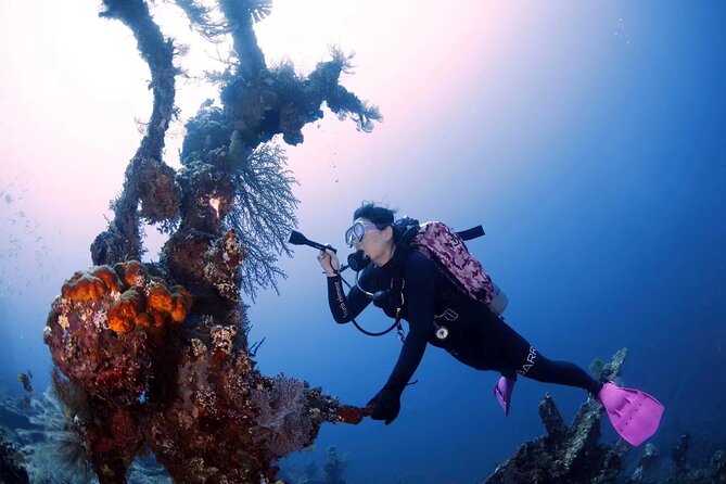 Shipwreck Diving in Tulamben - The USAT Liberty experience: what the day is built around