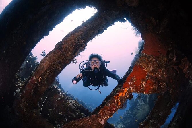 Shipwreck Diving in Tulamben - Price and value: $150 for a full-day, all-in package