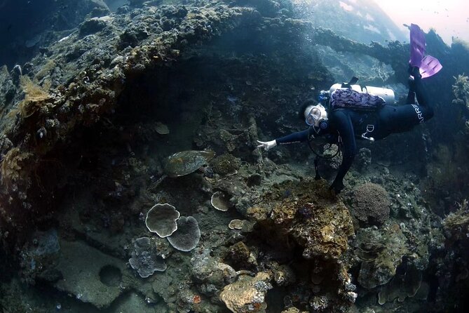 Shipwreck Diving in Tulamben - What you need to know before you go (so setup is smooth)