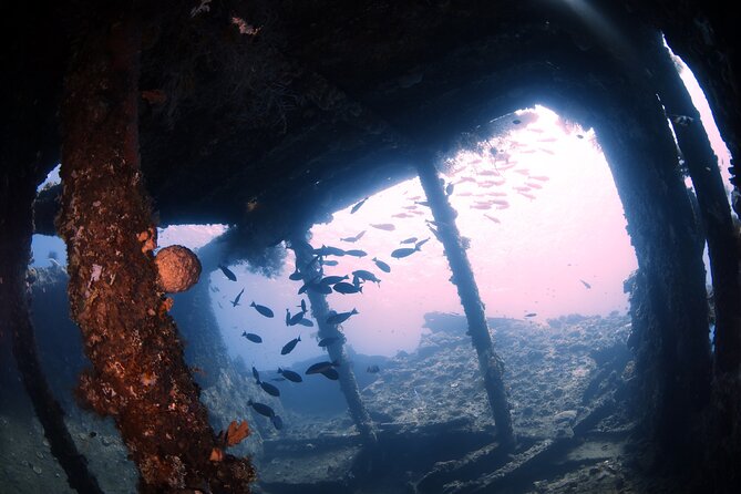 Shipwreck Diving in Tulamben - Hotel pickup from Kuta/Sanur zone: convenient, but plan for travel time