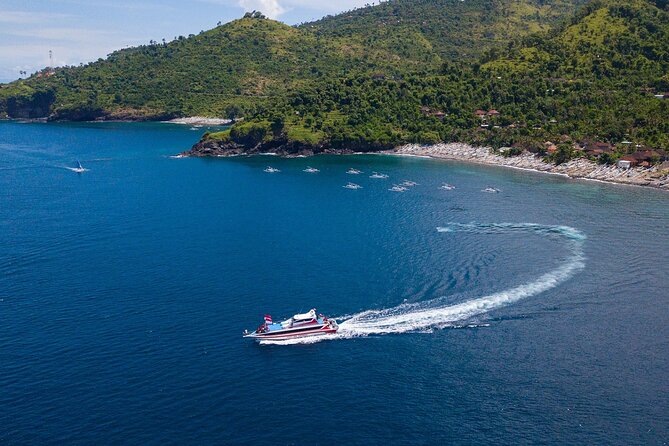 Snorkeling Adventure with East Nusa Penida Tour All Inclusive - Diamond Beach: The Walk That Makes the Day Worth It