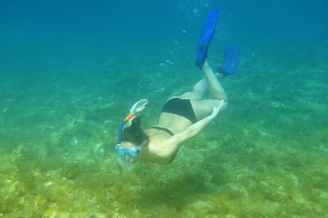Snorkeling Adventure with East Nusa Penida Tour All Inclusive - Molenteng Tree House (Atuh King Five / Raja Lima): The View From Above