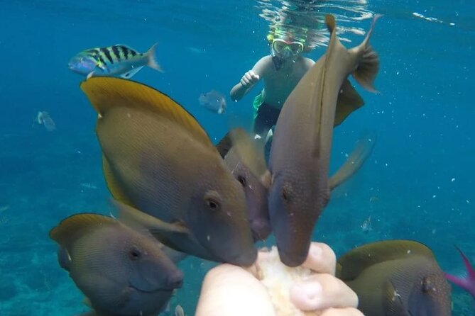 Snorkeling Adventure with East Nusa Penida Tour All Inclusive - The Long Middle on Nusa Penida: How the 10-Hour Shape Plays Out