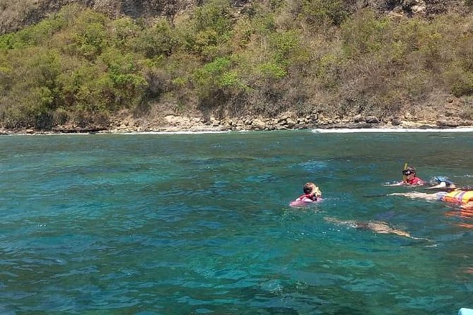 Snorkeling at Blue lagoon For walking customers - Blue Lagoon stop: turtles and octopus are a real possibility