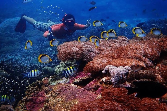 Snorkeling Day Trip To Lembongan and Penida - What’s included (and what you’ll pay for)
